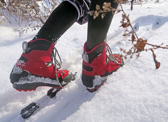 Alpina hotsell alaska boots