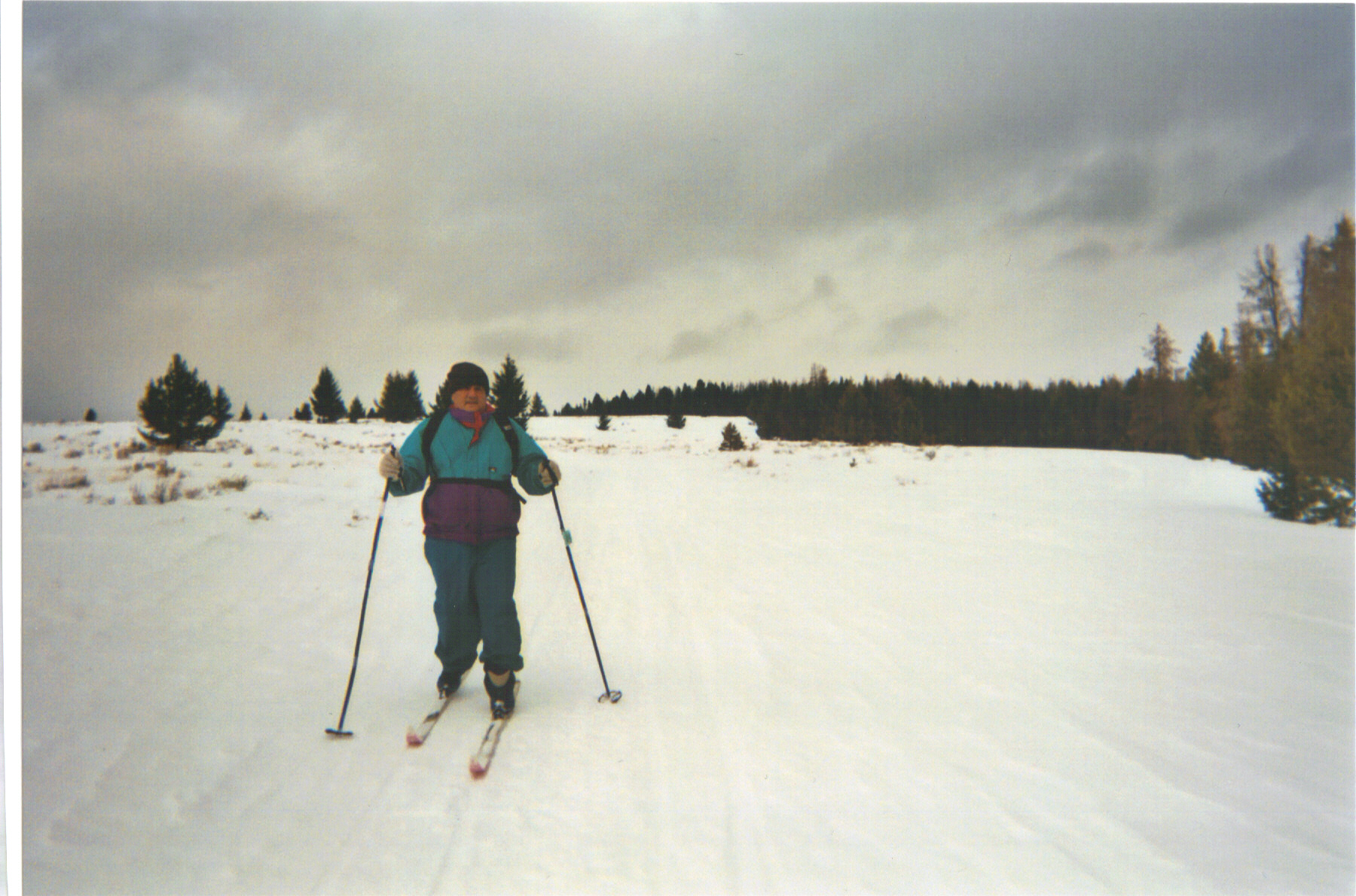 3-15-2009 1;57;54 PM.JPG