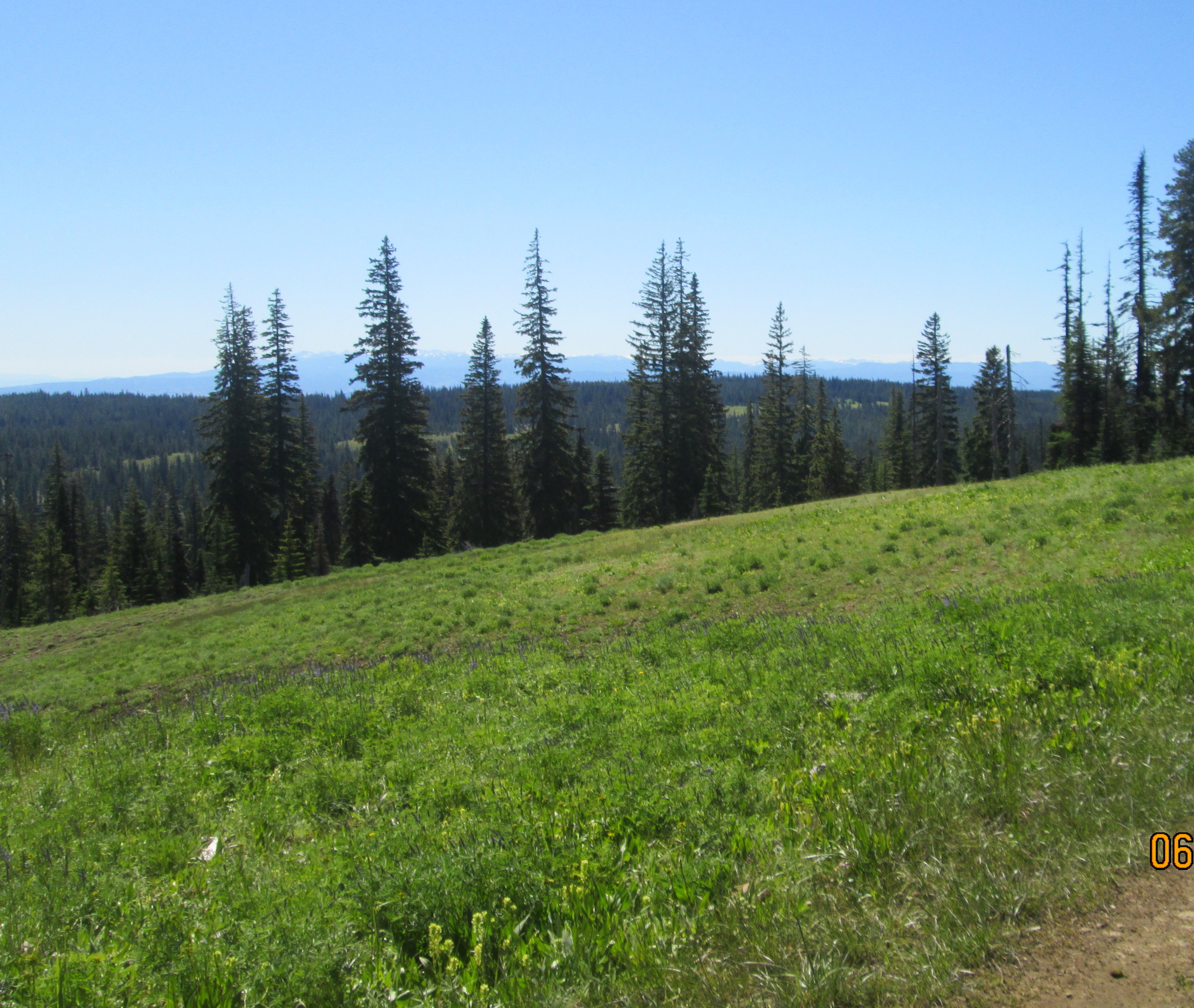 IMG_0139_1.jpg