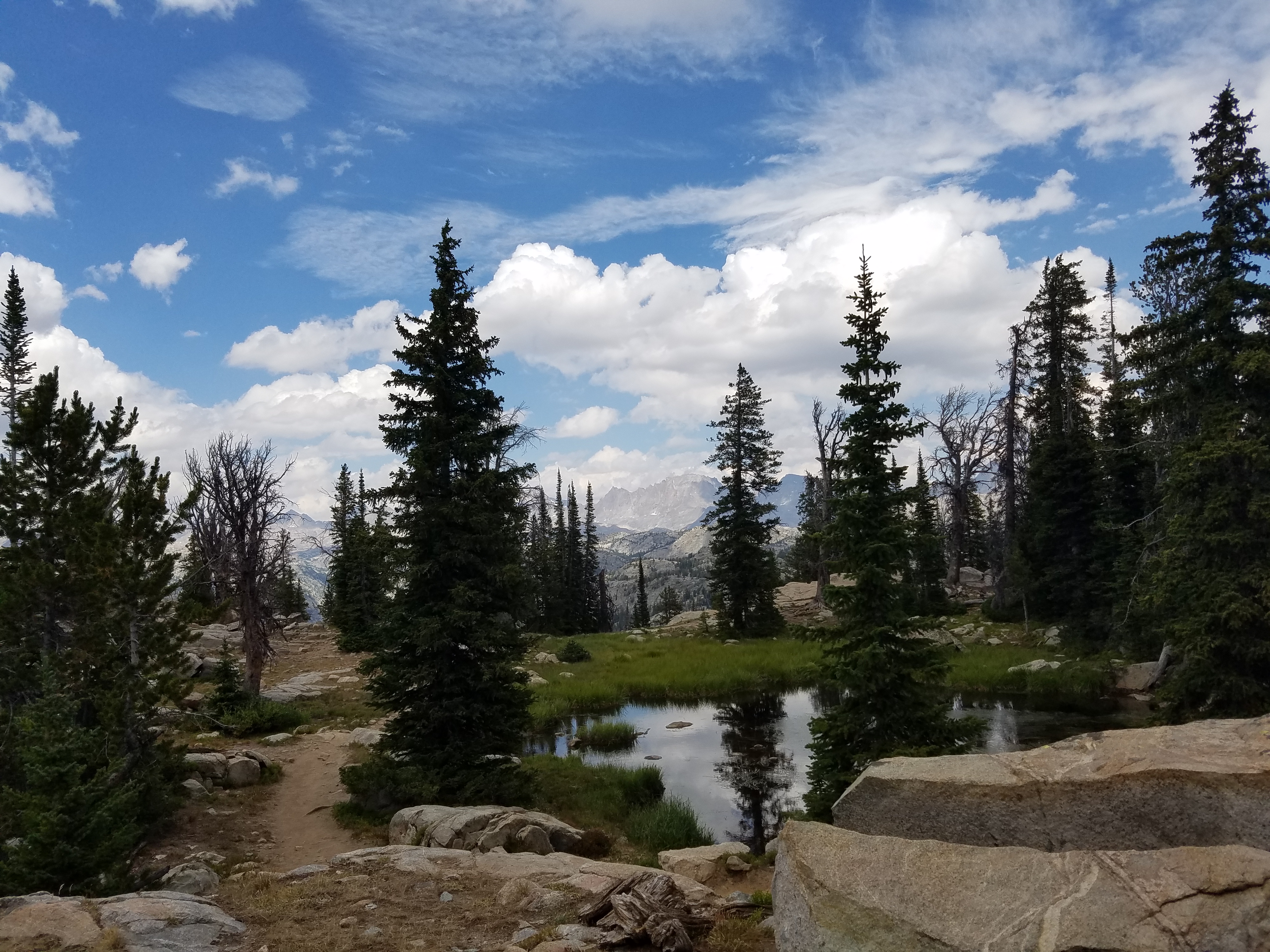 20160806_140838.jpg