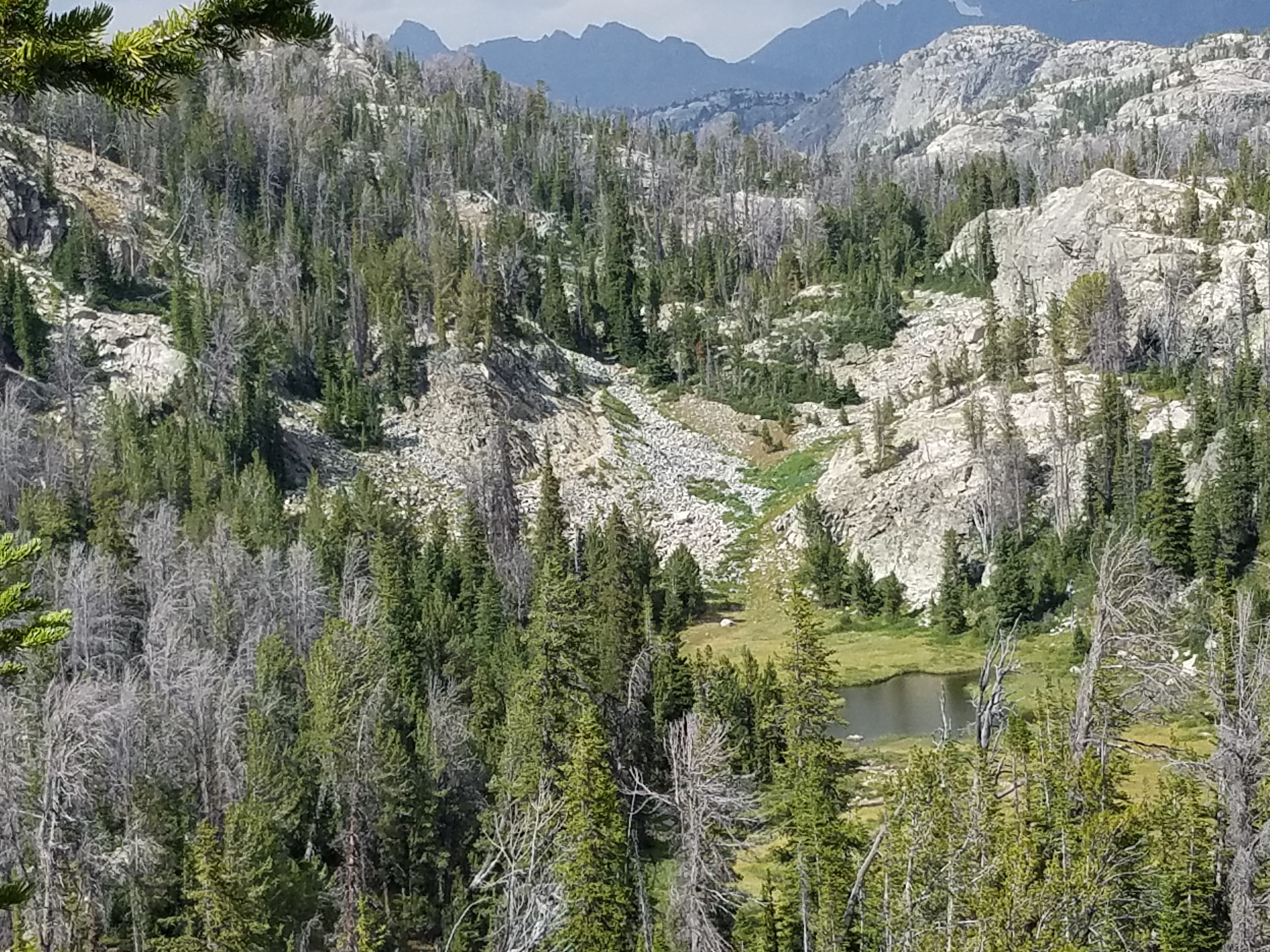 20160806_160752.jpg