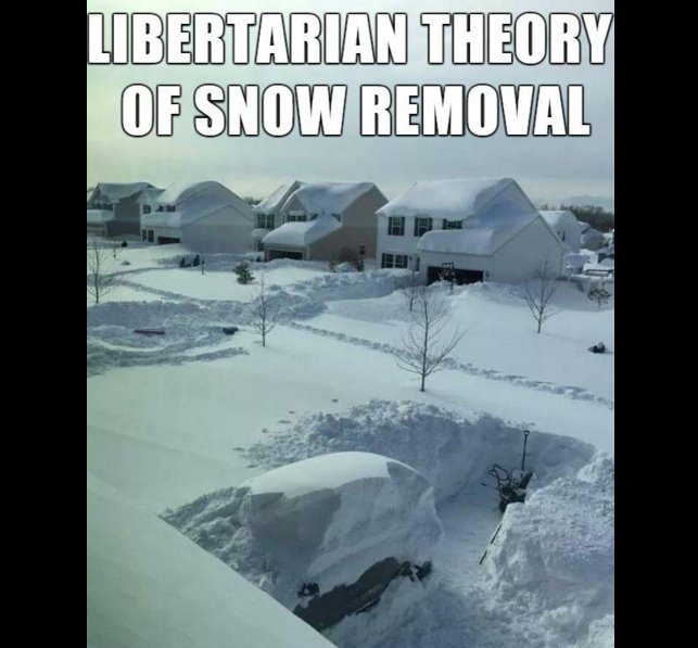 Libertarian Snow.jpg