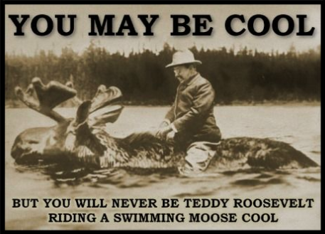 Tedd-moose cool 01.png