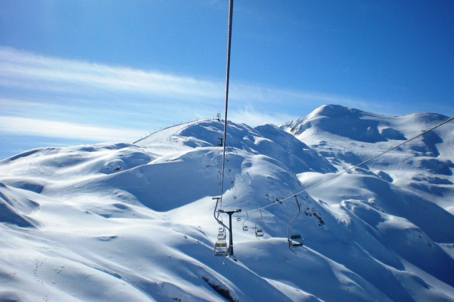 bohinj_vogel.jpg